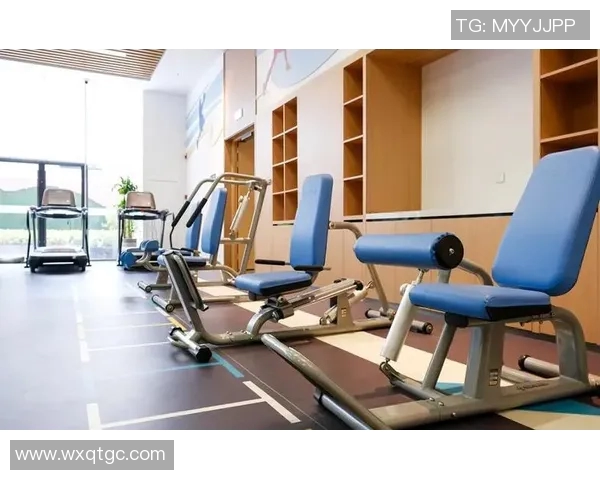 针对老年人设计的健身器材：如何选择适合老年人的健身设备？