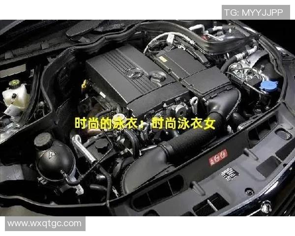 时尚潮流中的泳衣选择与搭配技巧，展现夏日清凉与自信魅力